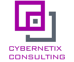 Cybernetix consulting